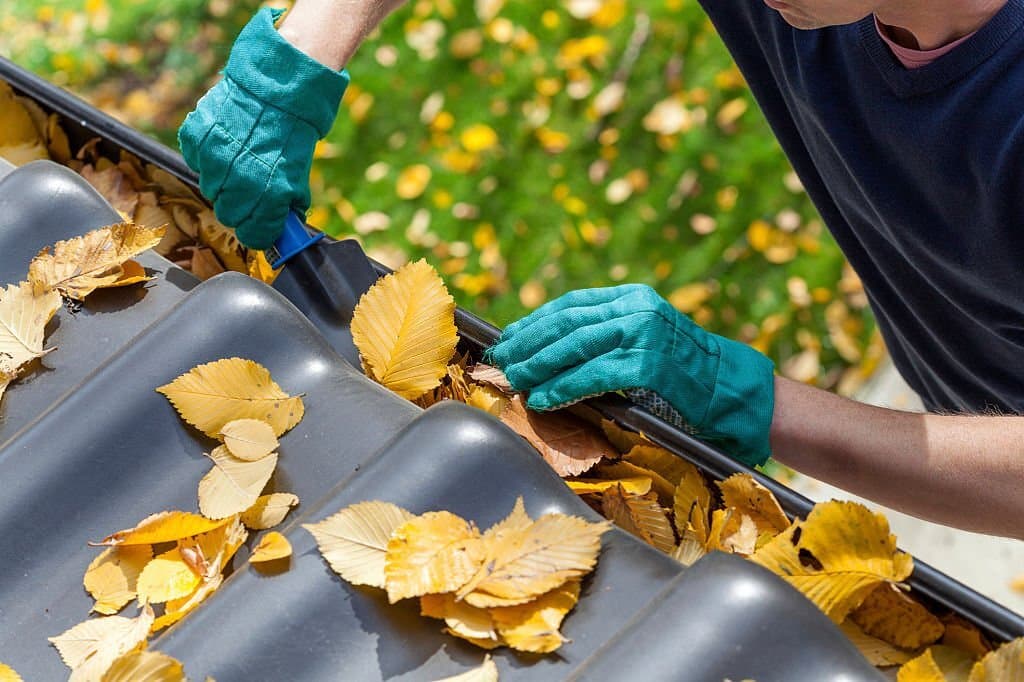 Gutter cleaning service removing leaves and debris
